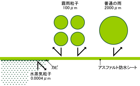 屋根 エコハウスナビ