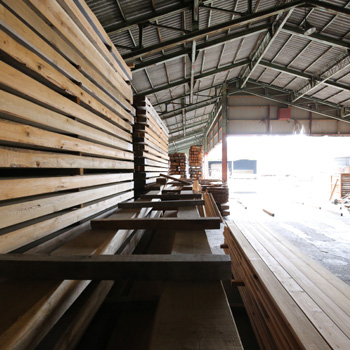 ＮＰＯ法人もりずむ