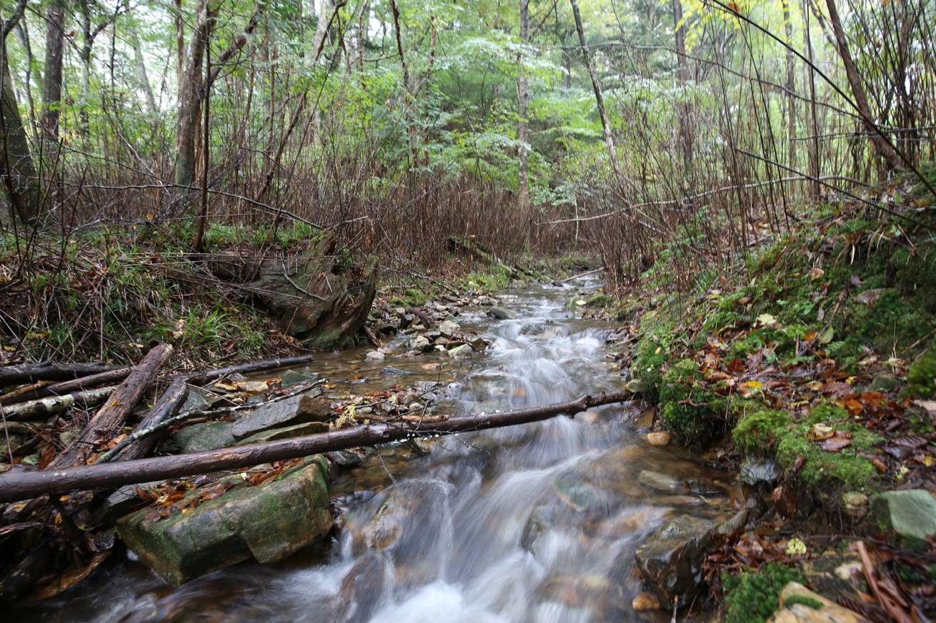 2020年4月24日<br>エコハウスコラムの8ページが完成